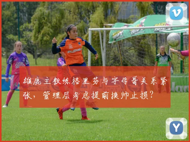 雄鹿主教练格里芬与字母哥关系紧张，管理层考虑提前换帅止损？